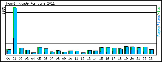 Hourly usage
