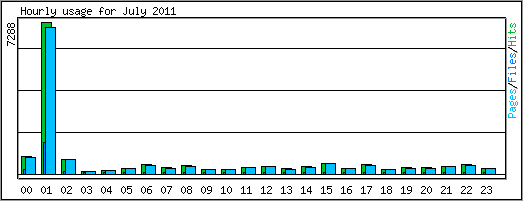 Hourly usage