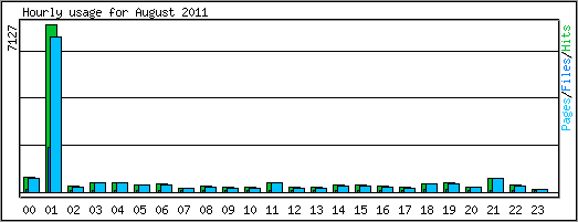 Hourly usage