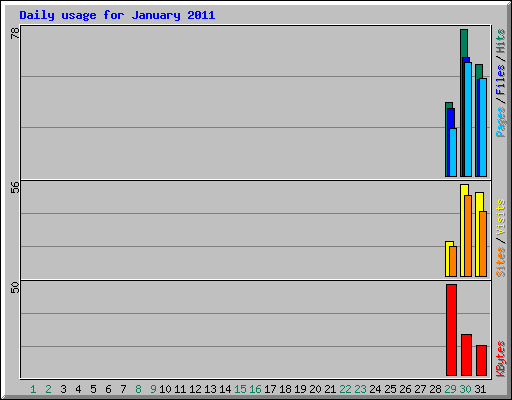 Daily usage for January 2011