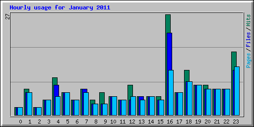 Hourly usage for January 2011